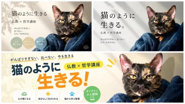 A/B 测试横幅变体 preview image 1