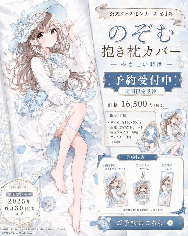动漫抱枕预购海报 preview image 1