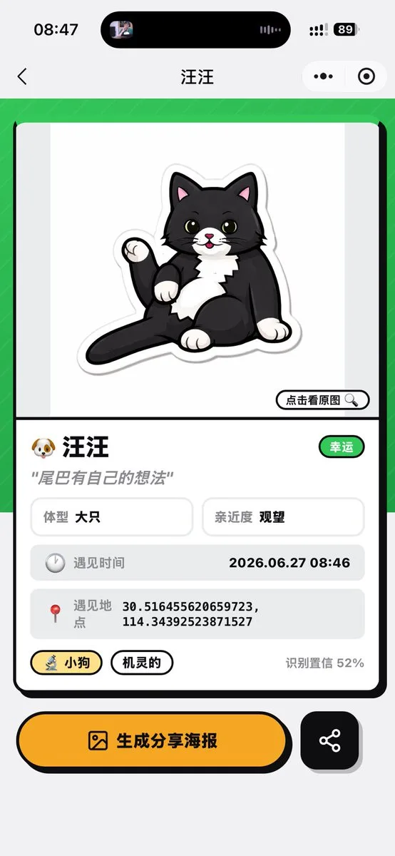 猫识别结果屏幕 - 1 preview image 1